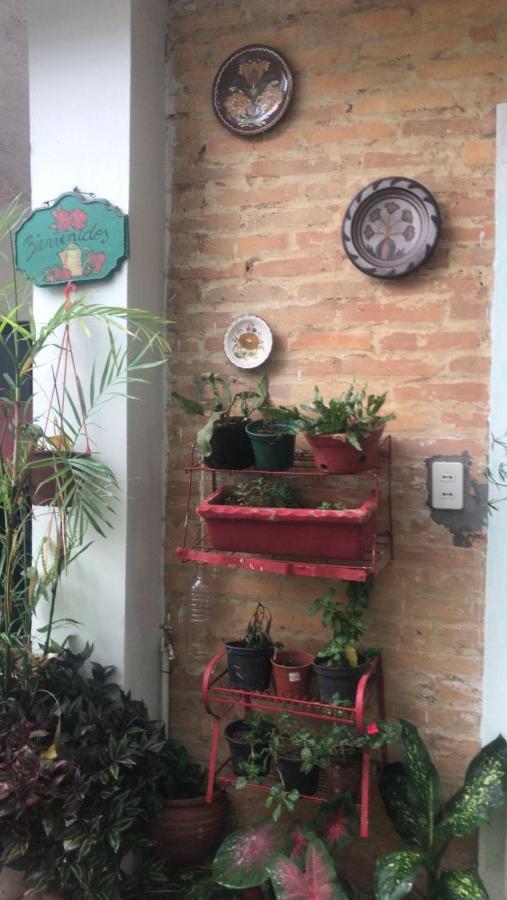 La Petite Maison De Diana 아순시온 외부 사진