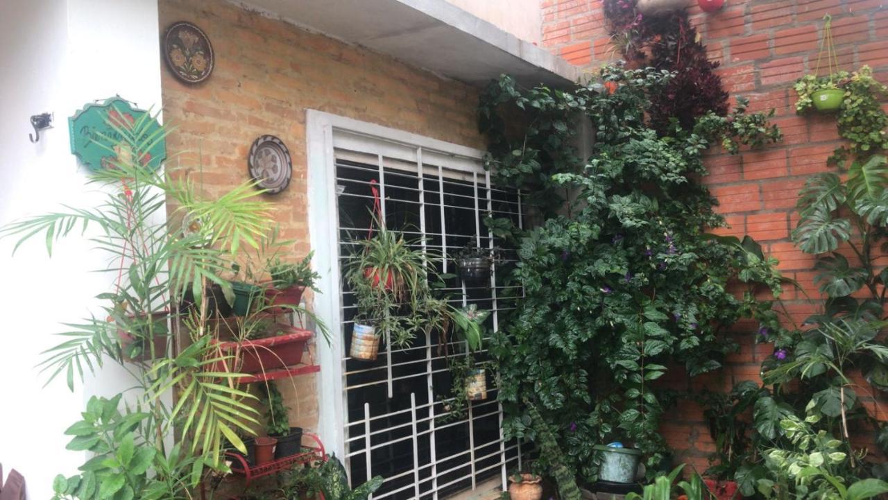 La Petite Maison De Diana 아순시온 외부 사진