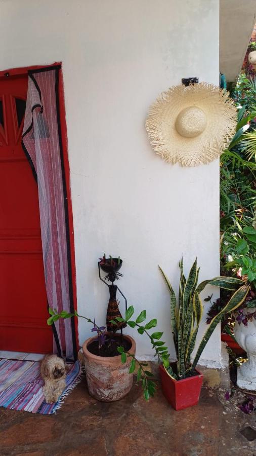 La Petite Maison De Diana 아순시온 외부 사진