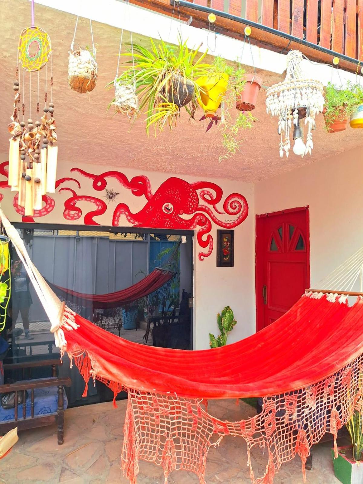 La Petite Maison De Diana 아순시온 외부 사진